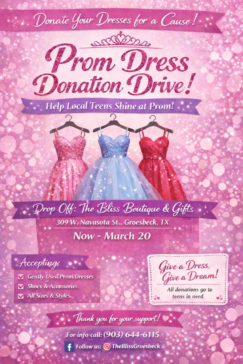 green emerald velvet dress Prom Dress Fundraiser Flyer main image 0