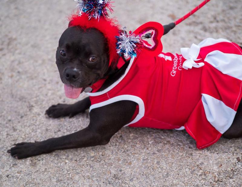 Fall Family Fun Night Costume Contest