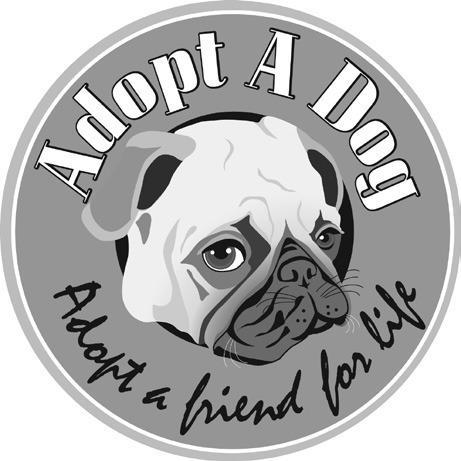 Pet of the Week
