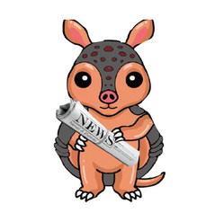 Name the Armadillo