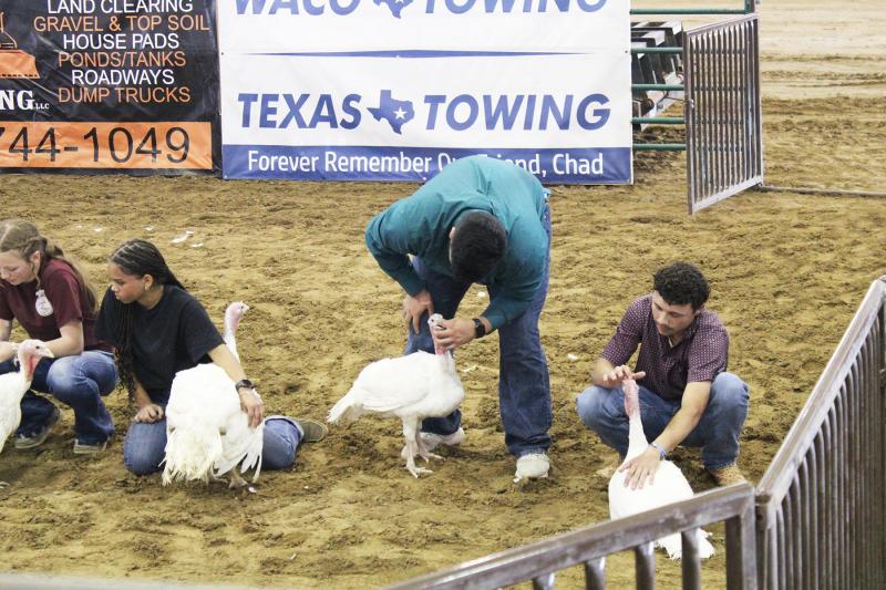 Racheal Clark photo/Groesbeck Journal
