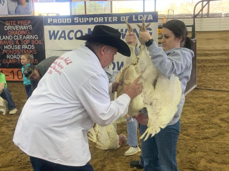 LCFA Market Turkey Show, March 19, 2024/ Mitchell Pate photo.