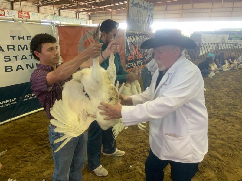 LCFA Market Turkey Show, March 19, 2024/ Mitchell Pate photo.