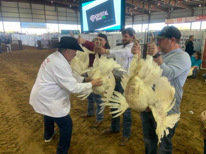 LCFA Market Turkey Show, March 19, 2024/ Mitchell Pate photo.