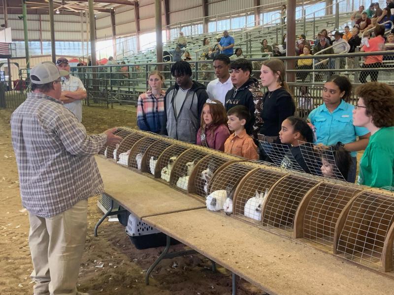 LCFA Market Rabbit Show, March 19, 2024/ Mitchell Pate photo.