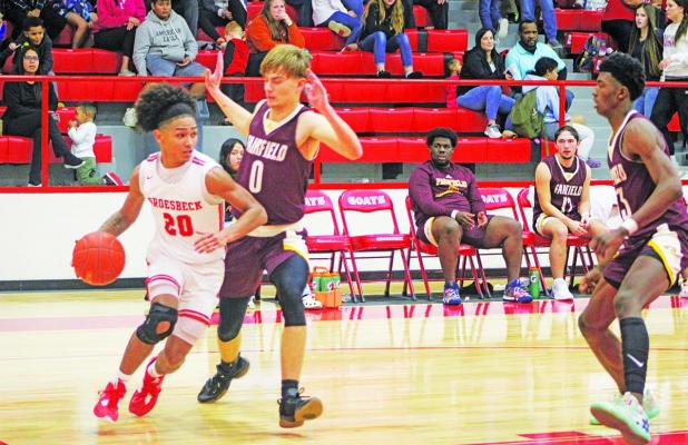 Groesbeck’s Anthony Lewis (20) drives past Fairfield’s Rex Beene (0) during a game at the Groesbeck High School gym Tuesday night. The Goats were edged by Fairfield, 56-53, in a key District 20-3A game.  Photo by Skip Leon/The Groesbeck Journal