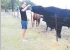Contributed photo. German foreign exchange student Luis Rottgardt has the cows eating out of his hands. Football, Cattle, Physics Highlight Luis Rottgardt’s Texas Experience