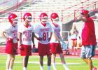 Goats preparing for season
