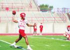 Goats preparing for season