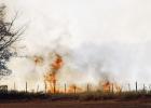 More than 200 acres scorched
