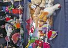 Kosse gets new business “The Looney Llama”