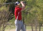 Howard goes out on a limb to take third place at district tournament
