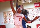 Goat & Lady Goat Basketball Updates