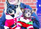 Groesbeck lights up downtown