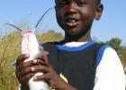 TPWD’s Neighborhood Fishing program offers angler of all ages the opportunity to experience the thrill of fishing. (TPWD Photo) Whiskered Tradition TPWD stocking program provides loads of catfish for anglers to catch