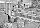 Retired Limestone educator conducts tours at national mammoth site