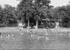Pictured above is a swimming group at Fort Parker State Park in or around the early 1950s.