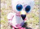 One of the Many pink flamingos that was placed on Frank Alteri’s yard on Yeagua St. after being flocked by Living Proof Church, Groesbeck’s Epic Youth Group. Contributed photo. ‘What the Flock’