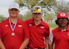 Howard goes out on a limb to take third place at district tournament