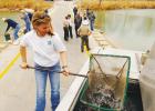 The ‘Bows are Coming - Popular trout stocking program lands tasty rainbows in local fishing holes