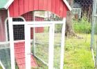 Chicken coops provide sustainable food supply