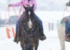 January brings snow day for area