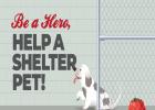 PET OF THE WEEK ASHER
