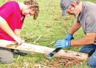 Hewitt Scout Lance Laskoskie, 17, at left, strips bark from a cedar post with help from Philip Jackson, also of Hewitt, as part of the work the group is doing for Lance’s Eagle Scout Project, which is replacing the deteriorating wood on the vine-covered Hewitt Scouts complete Eagle Project at Old Fort