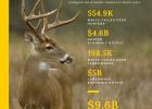 Texas Whitetails = Big Bucks