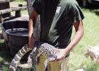 Fort Parker SP hosts 100 years celebration