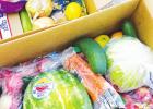 Groesbeck Journal photos/ Jennifer Paul Local church gives 1300 boxes of food to community