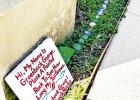 Groesbeck Rocks organizer Valarie Mann hopes that rock-painters will continue to “feed” the rock snake at Groesbeck First Methodist Church with hand-painted rocks, the newest addition to the organization’s growing movement. Contributed photo Groesbeck Rocks!