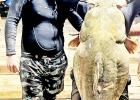 Adrenaline Junkies Noodlers recount cave brawl with 98.7 pound flathead, 14 feet down