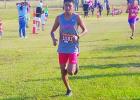 Area teams, runners advance to region meet
