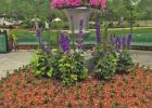 Let’s Travel Club Visited the Dallas Arboretum