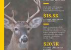 Texas Whitetails = Big Bucks