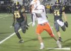 Tigers maul Lions 77-0 in district tilt