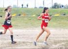 Alidah Figard headed to state cross country