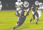 BELOW: Fairfield quarterback Justin Abram outraces the Wildcats on his way to another chunk of his 235 yards rushing Friday against Palestine. Photos by Thomas Leffler/ The Fairfield Recorder Article Image Alt Text