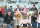 Connally twins bring home honors from San Angelo Livestock Show
