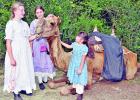 Sisters Amanda Burkeen, 13, left, and Fallon, 12, of Farrar, along with their friend Marlena Holmes, 6, of Palmer, pet one of the camels at the Civil War Re-enactment, held at the Confederate Reunion Grounds on... Photo by Roxanne Thompson/ Groesbeck Journal