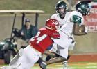 Photo by Lisa deCordova/Special to The Groesbeck Journal