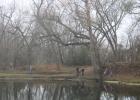 Families from throughout Limestone and surrounding counties attend the Kid Fish event at Fort Parker State Park at Lake Springfield on Jan. 28. Kid Fish is an annual event that has been held for more than 40 years.