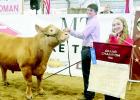 Grand Champion Steer brings 25K