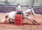 Horse show races into County fair kick off weekend