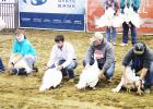 Racheal Clark photo/Groesbeck Journal