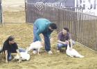 Racheal Clark photo/Groesbeck Journal
