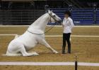 Photo by Alexandra Cannon, Groesbeck Journal