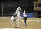 Photo by Alexandra Cannon, Groesbeck Journal