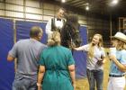 Photo by Alexandra Cannon, Groesbeck Journal